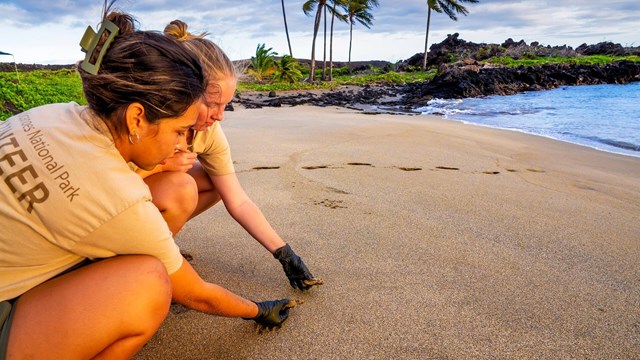 Child volunteer painting a structure