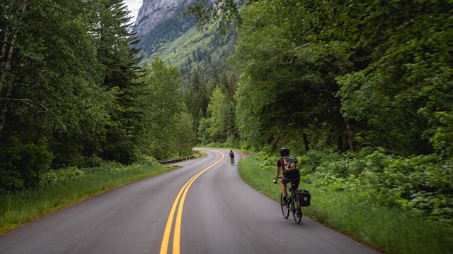Two bicyclists on a road lined with forest at the base of a mountain
