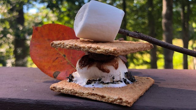 Smore on a picnic table next to a pine cone