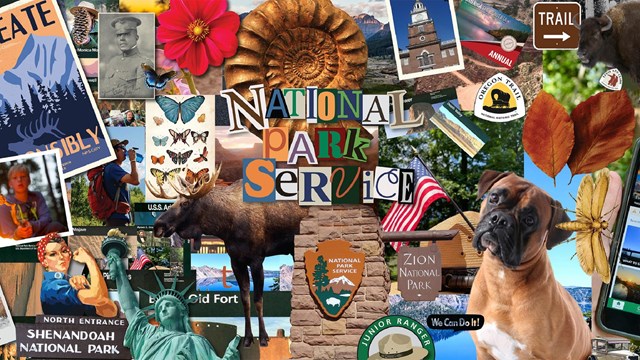 Collage of many park images