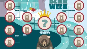 Graphic of a bear bracket