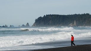 A visitor walks on a beach as waves break.