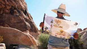 Person holding a open park map and looking down at it.