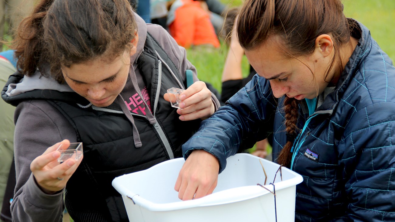 Two students, one with a glass magnifying box, sift through the contents of a white, plastic tub.