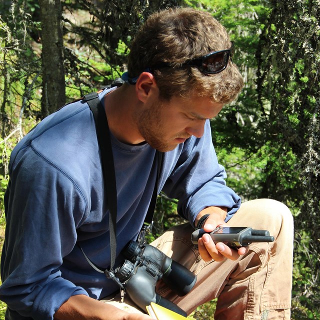 Researcher kneels down and looks at GPS.