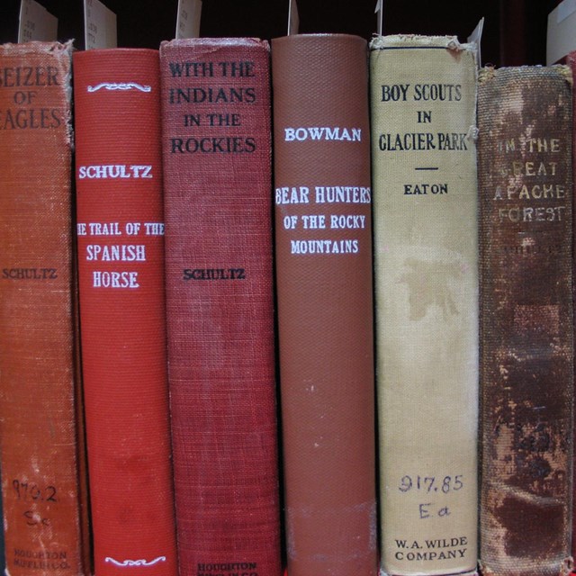 Row of books on shelf.