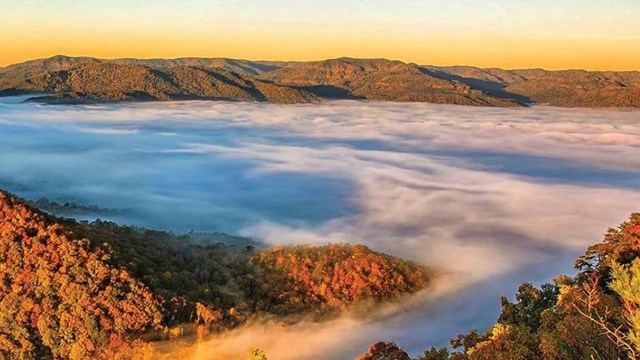 Pinnacle overlook with fog rolling over treetops. 