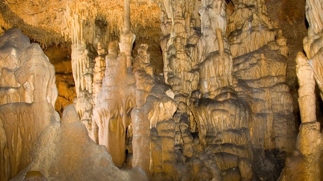 Gap Cave Music Room