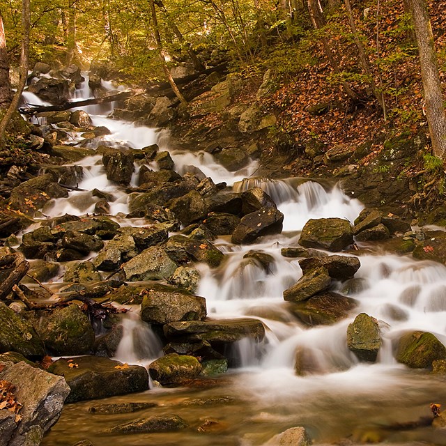 A stream flows over large rocks through fall foliage.