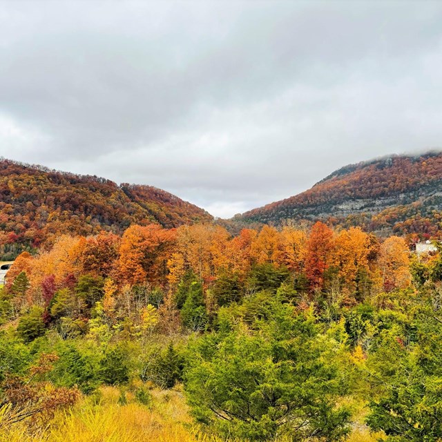 mountain covered in green trees with gap in the middle
