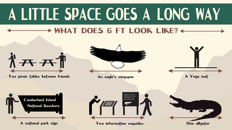 A graphic showing what 6 feet distance looks like