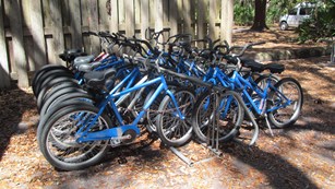 Rent or Bring your Bike