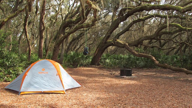 Tent under live oaks with pack hung