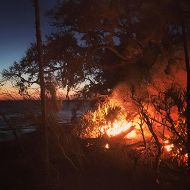 Fire burning in palmettos at water's edge