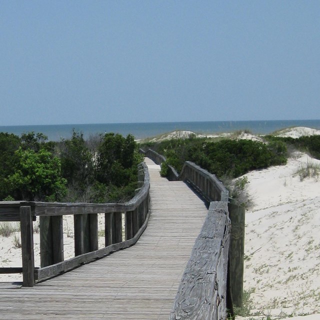 A boardwalk that crosses the dunes out to the beach that can be accessed by beach wheelchair