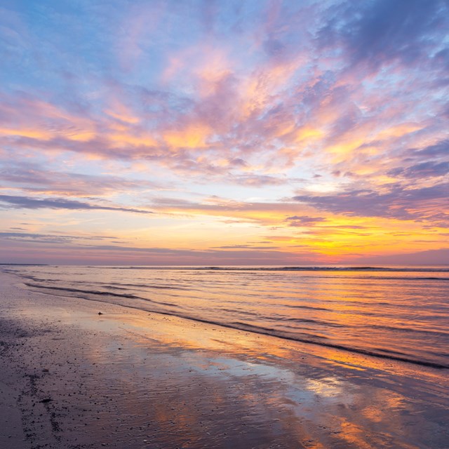 A photo of a sunset over the beach ecosystem