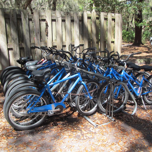 Rent or Bring your Bike