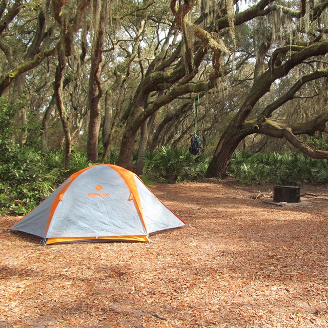 Tent under live oaks with pack hung