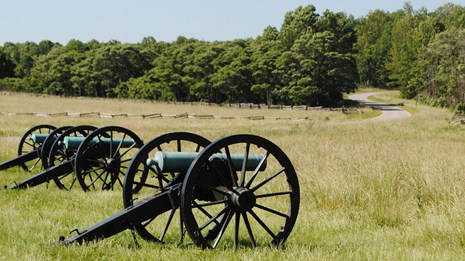 Three cannons line up in a field of tall grass. A road winds through the trees and fences beyond.