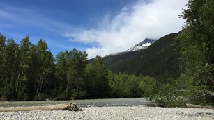 Rocky shore along the glacial Taiya River, framed by leafy trees and a snow-capped mountain.