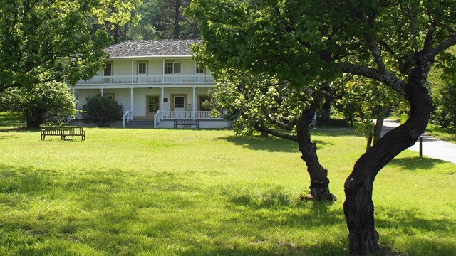 Fruit trees grow in a sunny green lawn near a white adobe house.