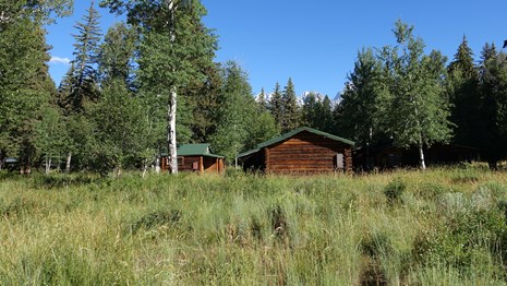 Two log cabins of the Murie Ranch are partly concealed by tall trees, beyond an open grassy area
