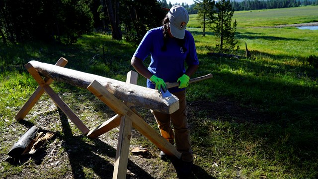 SCA intern uses an axe to shape the end of a log, held in place in a sawhorse. 
