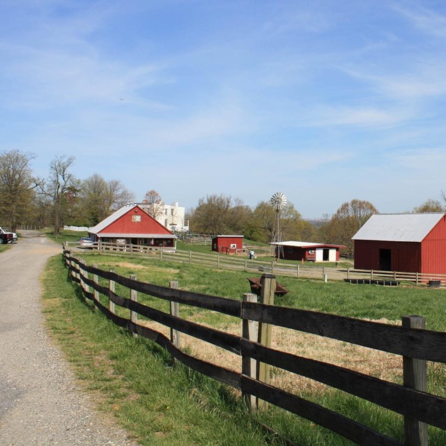 A wooden fence follows a driveway, leading to a collection of farm buildings near a field