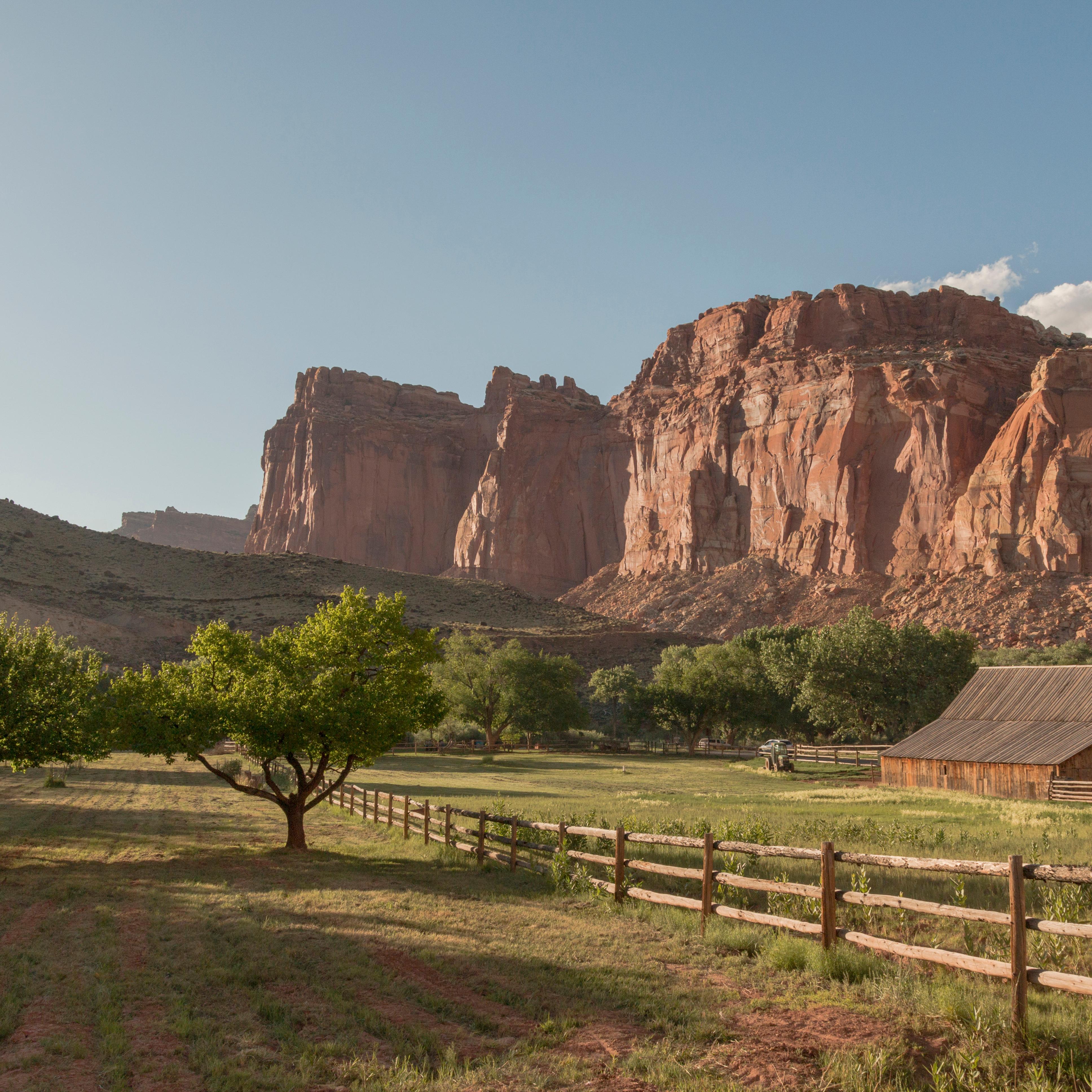 Orchards, cliffs, a barn, and a wooden fence glow in late day sun at Fruita.