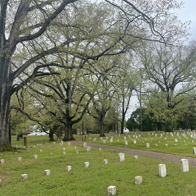 Brick walkway through burial sections, where rows of marble headstones in turf and trees.