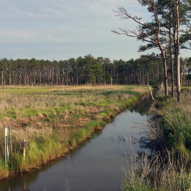 A calm, narrow channel of water passes through an open grassy area, bordered by trees.