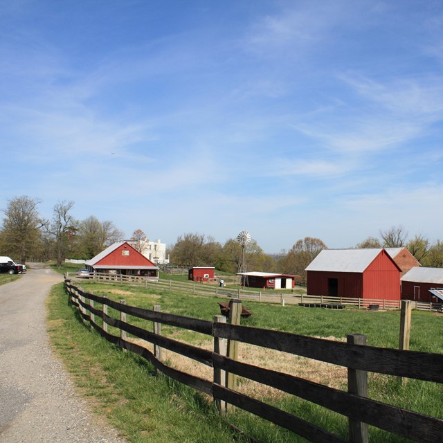 A wooden fence follows a driveway beside a field, towards a cluster of bright farm structures