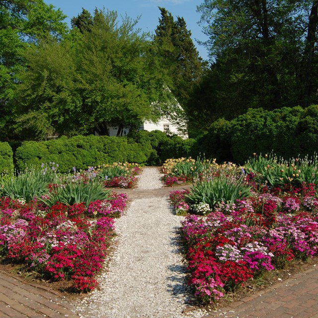 Brick and crushed-stone paths neatly divide flower beds in Colonial Williamsburg.