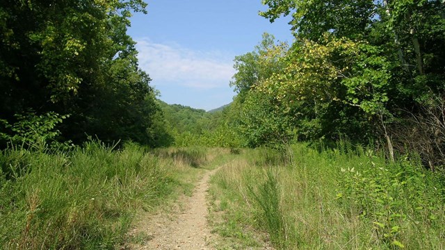 Cumberland Gap National Historic Park.