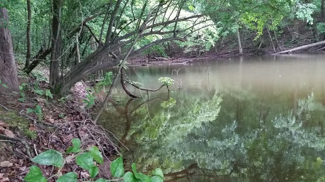 Hickman Creek in Fort Donelson National Battlefield. Photo by Brenda Wells.