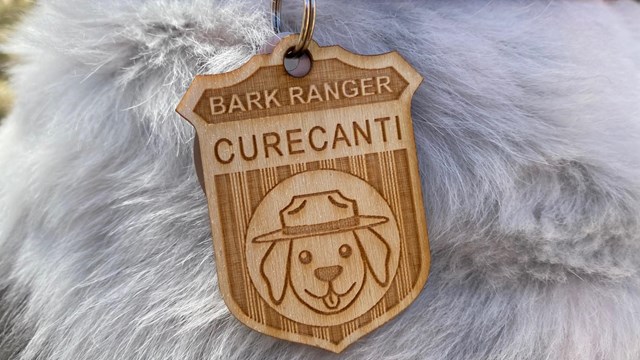 A wooden ranger badge with words and a dog face carved into it