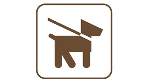 Pets