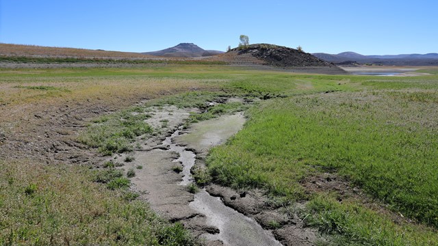 A dry section of a reservoir has thick mud and grass. Mesas and shallow water in the background