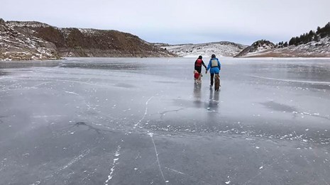 Two people with dogs walking across a frozen lake in winter.