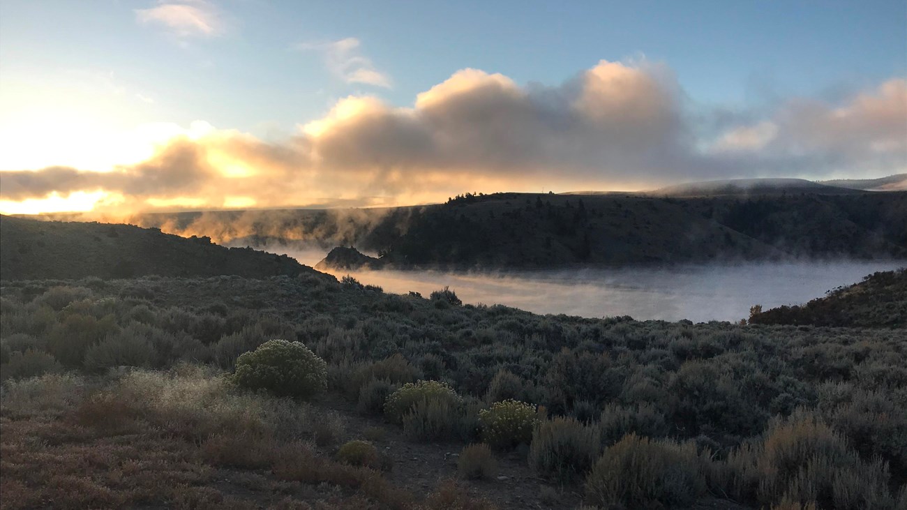 Sagelands in morning light