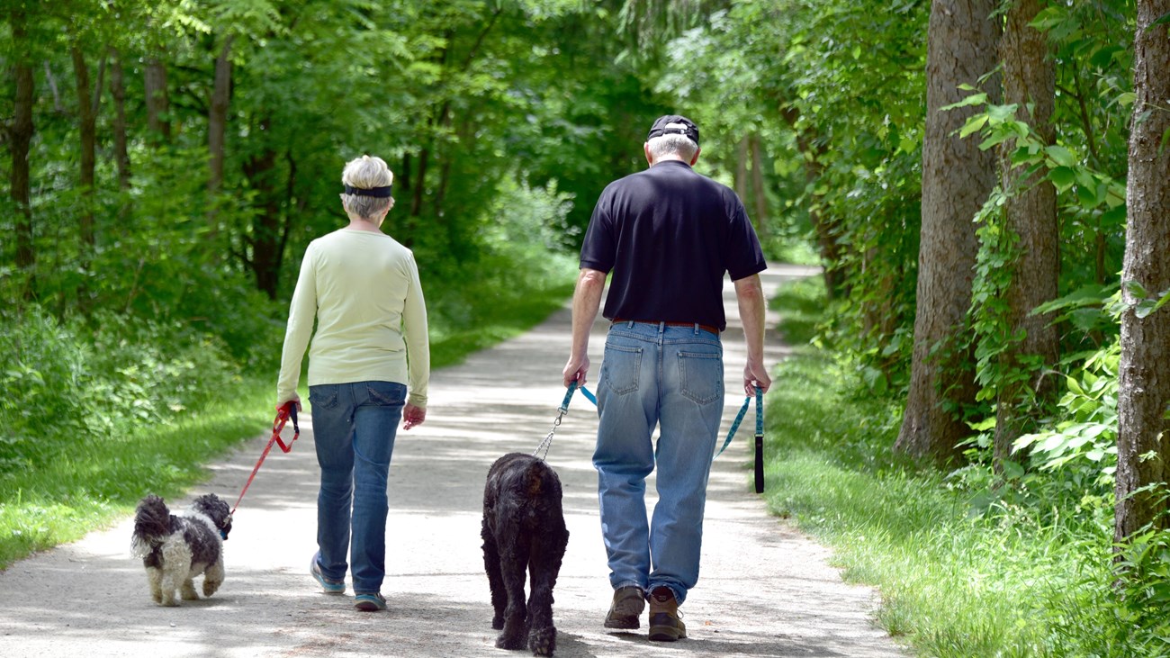 A couple walk along a wide, gray trail, each with a dog on a leash, surrounded by green trees.
