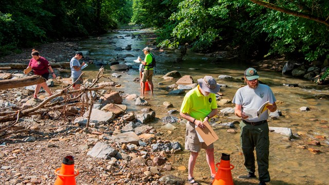 Uniformed ranger stands with others in and around a shallow, rocky creek, holding clipboards.