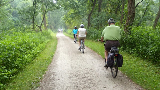 Three cyclists ride along a wide, gray trail through lush green trees and other plants.