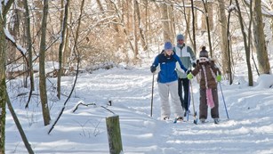 Winter Sports