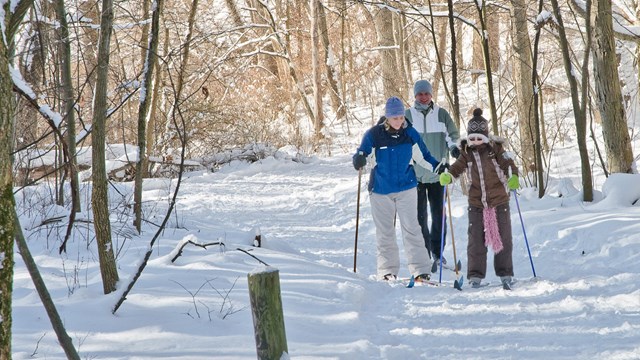Three people in winter coats and hats cross-country ski on a snowy, wooded trail.