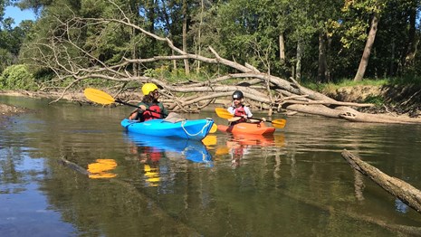 Two paddlers in brightly-colored kayaks and helmets navigate around a downed tree in the river.