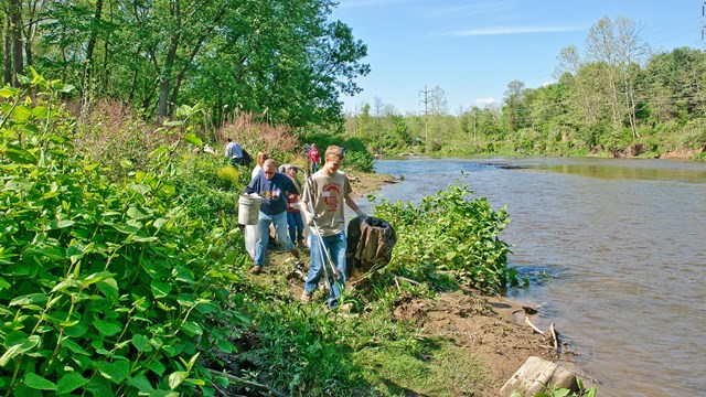 A group of people carry buckets and tools along a riverbank.