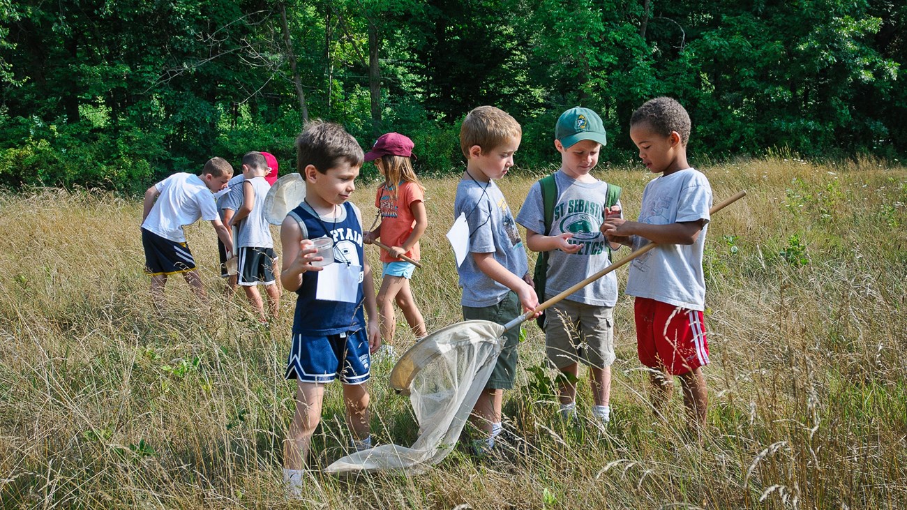 A group of children stands in a field holding butterfly nets and collection jars.