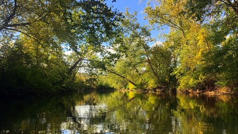 2019 River Celebration