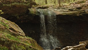 A waterfall in a forest; water falls from a rim of gray stone down onto other rocks below.